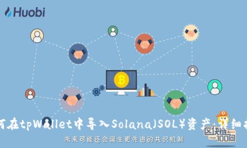 如何在tpWallet中导入Solana（SOL）资产：详细指导