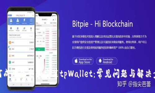 如何成功下载和安装tpWallet：常见问题与解决步骤