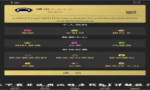  如何在PayPal上下载并使用比特币钱包？详解操作步骤与注意事项