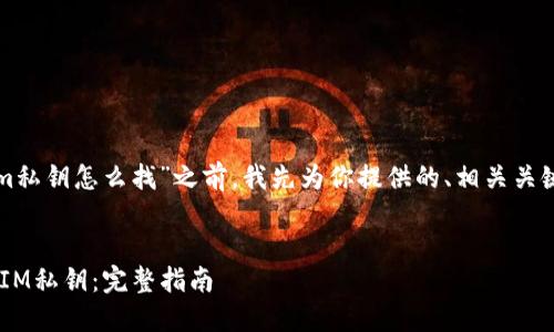 在讨论“tokenim私钥怎么找”之前，我先为你提供的、相关关键词及内容大纲。


如何找回TokenIM私钥：完整指南