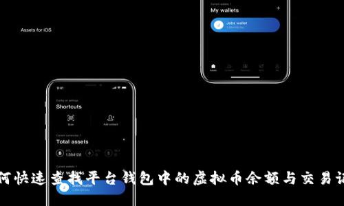 如何快速查找平台钱包中的虚拟币余额与交易记录