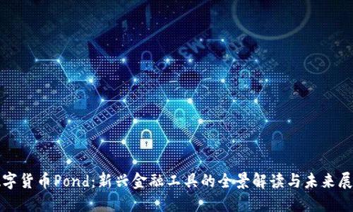 数字货币Pond：新兴金融工具的全景解读与未来展望