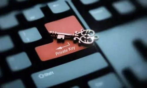 

T P钱包的功能与使用指南：安全、便捷的数字资产管理工具