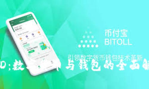 BTD：数字货币与钱包的全面解析