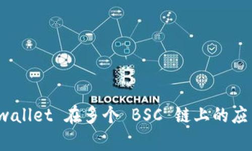 探索 tpwallet 在多个 BSC 链上的应用与优势