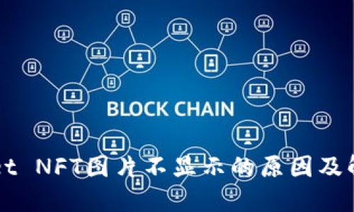 TPWallet NFT图片不显示的原因及解决方法