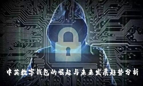 中英数字钱包的崛起与未来发展趋势分析