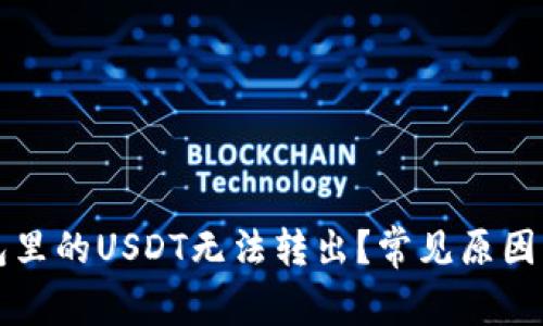 为什么钱包里的USDT无法转出？常见原因与解决方案