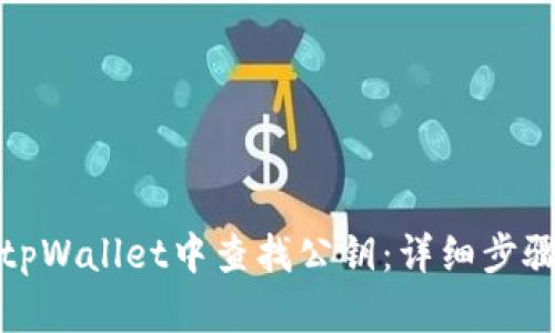 如何在tpWallet中查找公钥：详细步骤与技巧