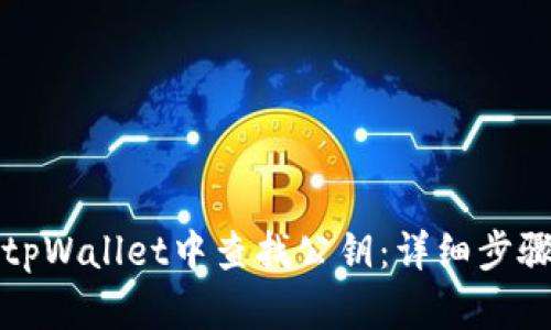 如何在tpWallet中查找公钥：详细步骤与技巧