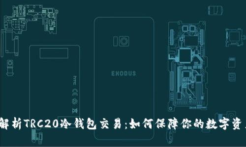  全面解析TRC20冷钱包交易：如何保障你的数字资产安全