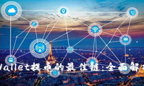 选择TPWallet提币的最佳链：全面解析与建议