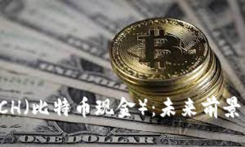 深入解析BCH（比特币现金）：未来前景与投资策略