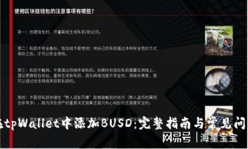如何在tpWallet中添加BUSD：完整指南与常见问题解答