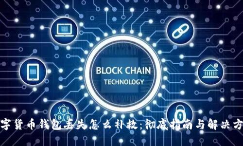 数字货币钱包丢失怎么补救：彻底指南与解决方案