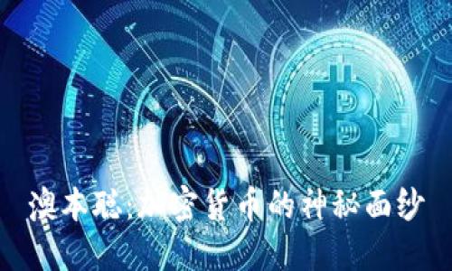 澳本聪：加密货币的神秘面纱