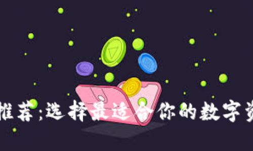 比特币钱包推荐：选择最适合你的数字资产安全工具