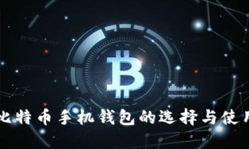 中文比特币手机钱包的选择与使用指南