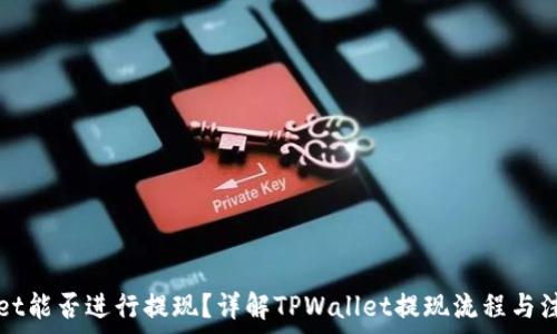   
TPWallet能否进行提现？详解TPWallet提现流程与注意事项