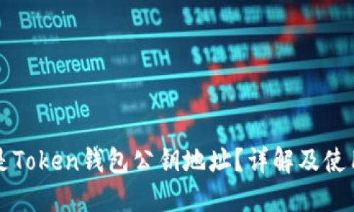 什么是Token钱包公钥地址？详解及使用指南