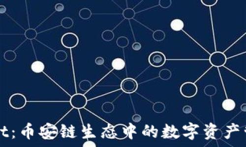   
TPWallet：币安链生态中的数字资产管理利器