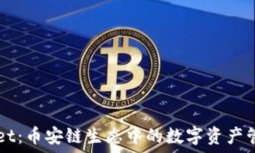   
TPWallet：币安链生态中的数字资产管理利器