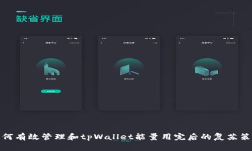 如何有效管理和tpWallet能量用完后的复苏策略