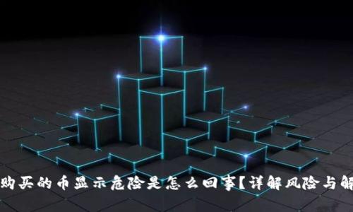 TP钱包购买的币显示危险是怎么回事？详解风险与解决方案