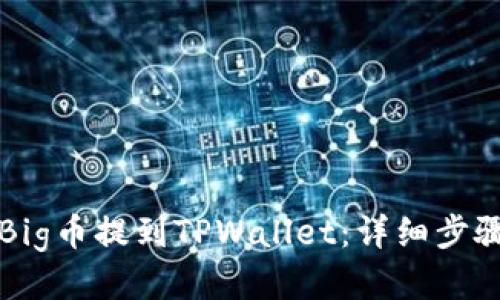 如何将Big币提到TPWallet：详细步骤与指南
