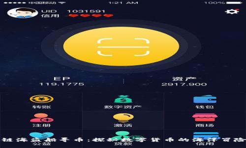 区块链海盗船寻币：探秘数字货币的海洋冒险之旅