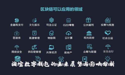 淘宝数字钱包的未来展望与影响分析