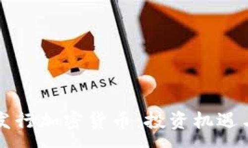 :
首次代币发行加密货币：投资机遇与风险解析