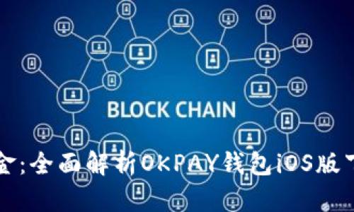 无忧管理资金：全面解析OKPAY钱包iOS版下载安装指南