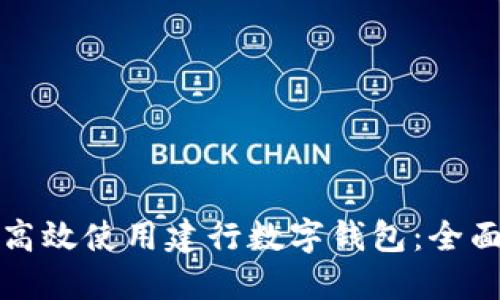 如何高效使用建行数字钱包：全面指南