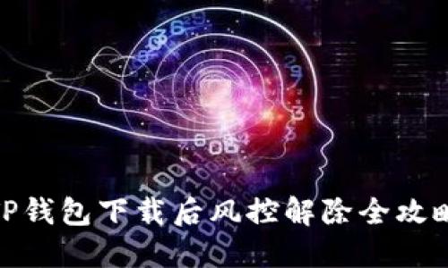 TP钱包下载后风控解除全攻略