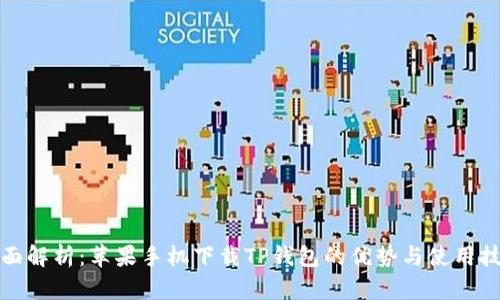 全面解析：苹果手机下载TP钱包的优势与使用技巧