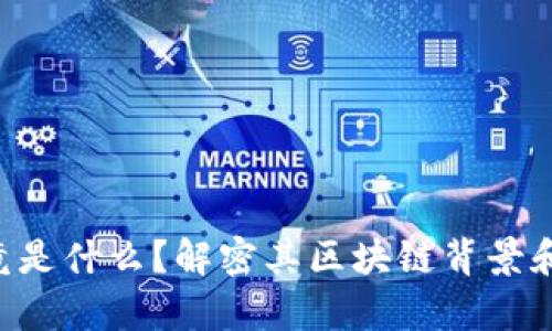 u宝币究竟是什么？解密其区块链背景和应用前景