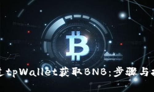 如何通过tpWallet获取BNB：步骤与技巧详解