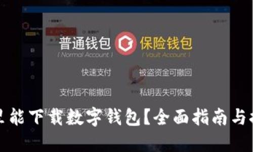 哪里能下载数字钱包？全面指南与推荐