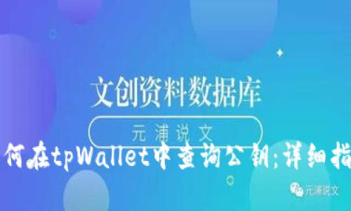 如何在tpWallet中查询公钥：详细指南