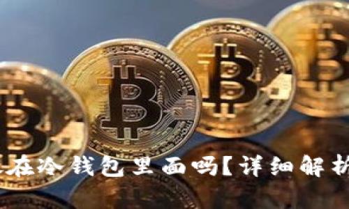 USDT可以放在冷钱包里面吗？详细解析及使用指南