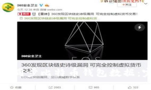 如何高效同步比特币钱包数据：完整指南