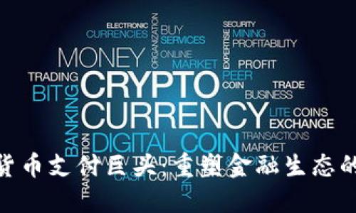 加密货币支付巨头：重塑金融生态的先锋