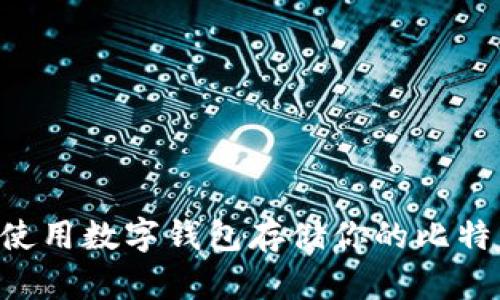 如何选择和使用数字钱包存储你的比特币：全面指南