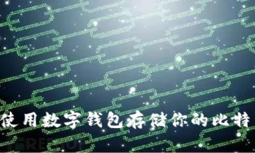 如何选择和使用数字钱包存储你的比特币：全面指南