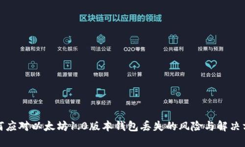 如何应对以太坊1.0版本钱包丢失的风险与解决方案