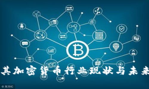 土耳其加密货币行业现状与未来展望