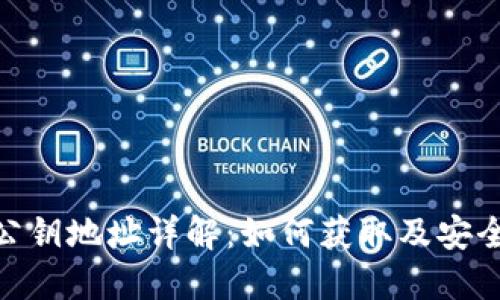 TokenIM公钥地址详解:如何获取及安全使用指南