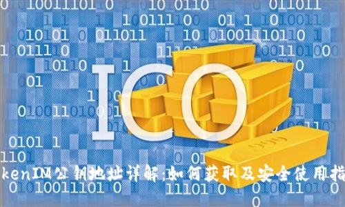 TokenIM公钥地址详解：如何获取及安全使用指南