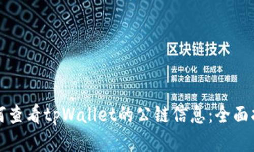 如何查看tpWallet的公链信息：全面指南
